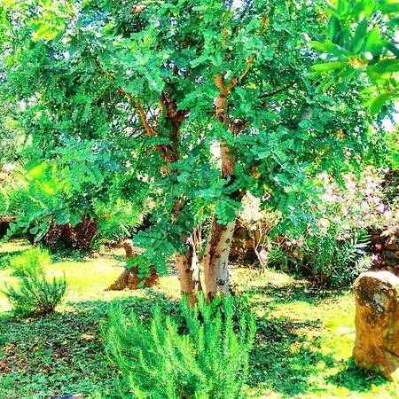 Apartamento Re - Osala - 800 M Dal Mare *