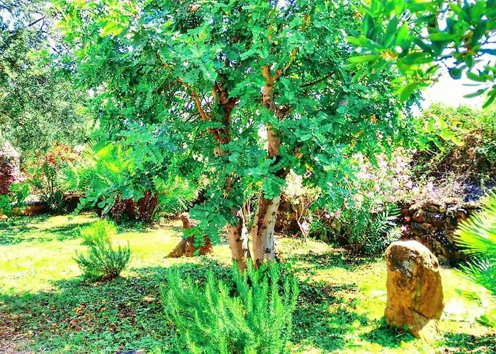 Daire Re - Osala - 800 M Dal Mare *